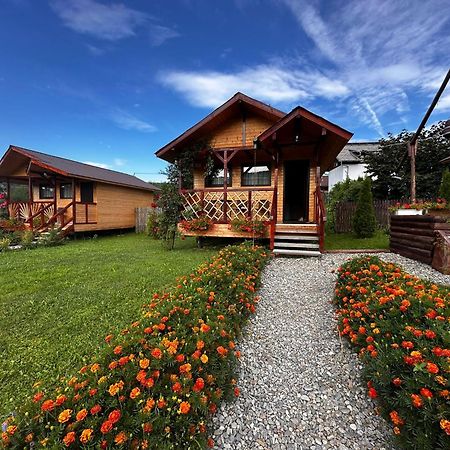 쿠티에데아게스 Baltina Parc Transfagarasan 빌라 외부 사진