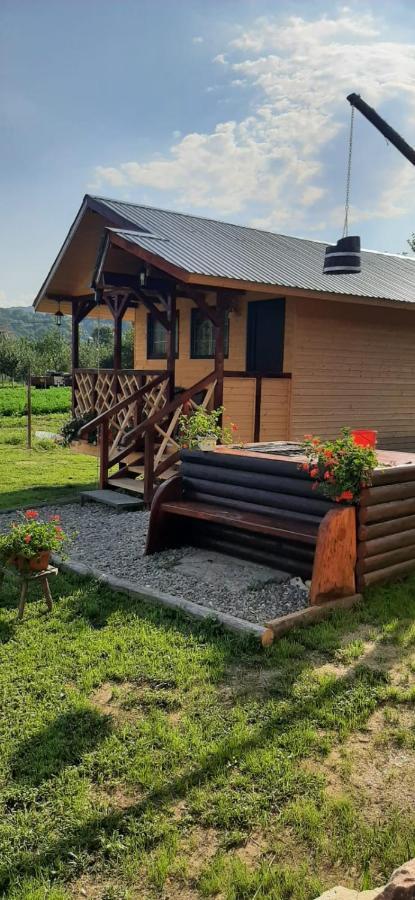 쿠티에데아게스 Baltina Parc Transfagarasan 빌라 외부 사진