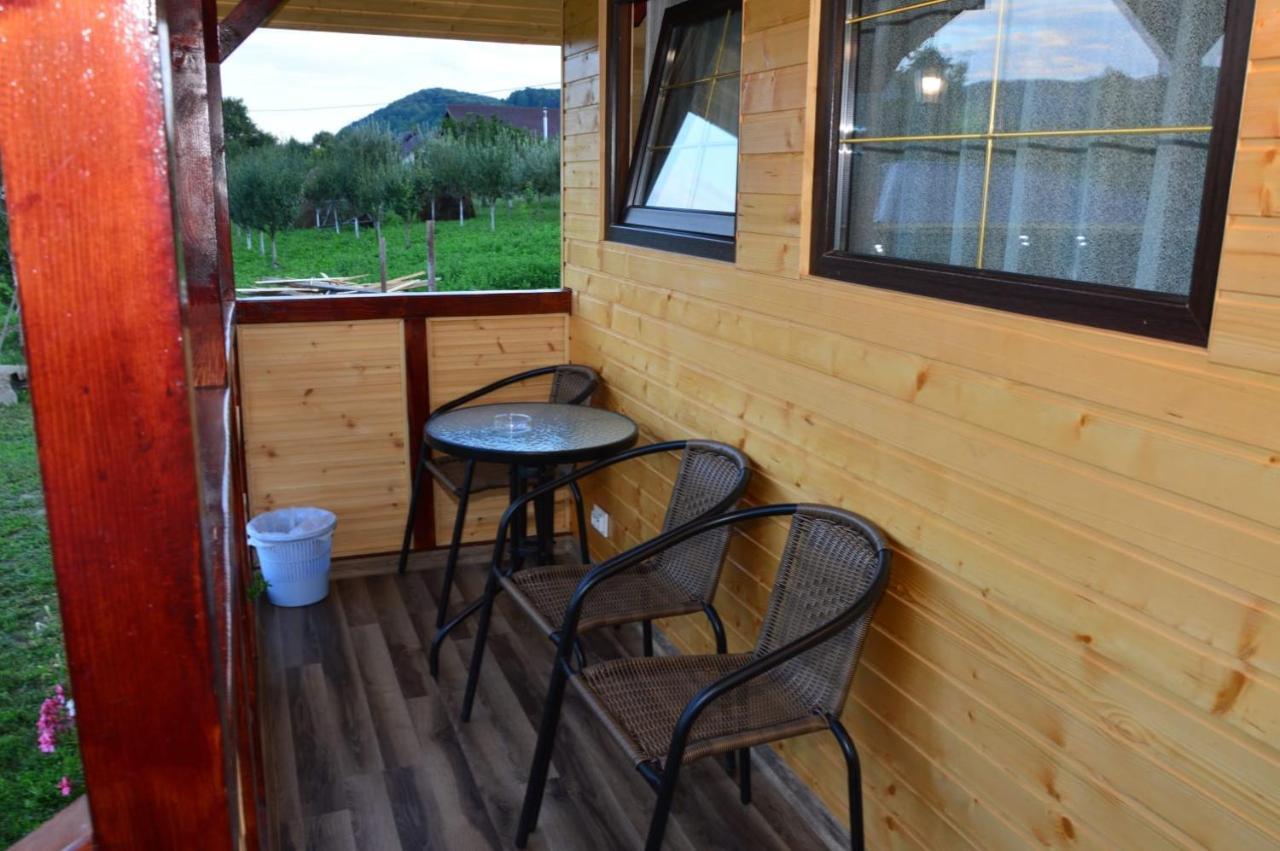 쿠티에데아게스 Baltina Parc Transfagarasan 빌라 외부 사진