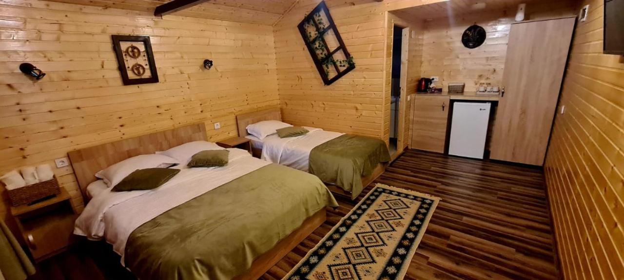 쿠티에데아게스 Baltina Parc Transfagarasan 빌라 외부 사진