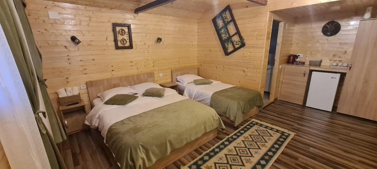 쿠티에데아게스 Baltina Parc Transfagarasan 빌라 외부 사진