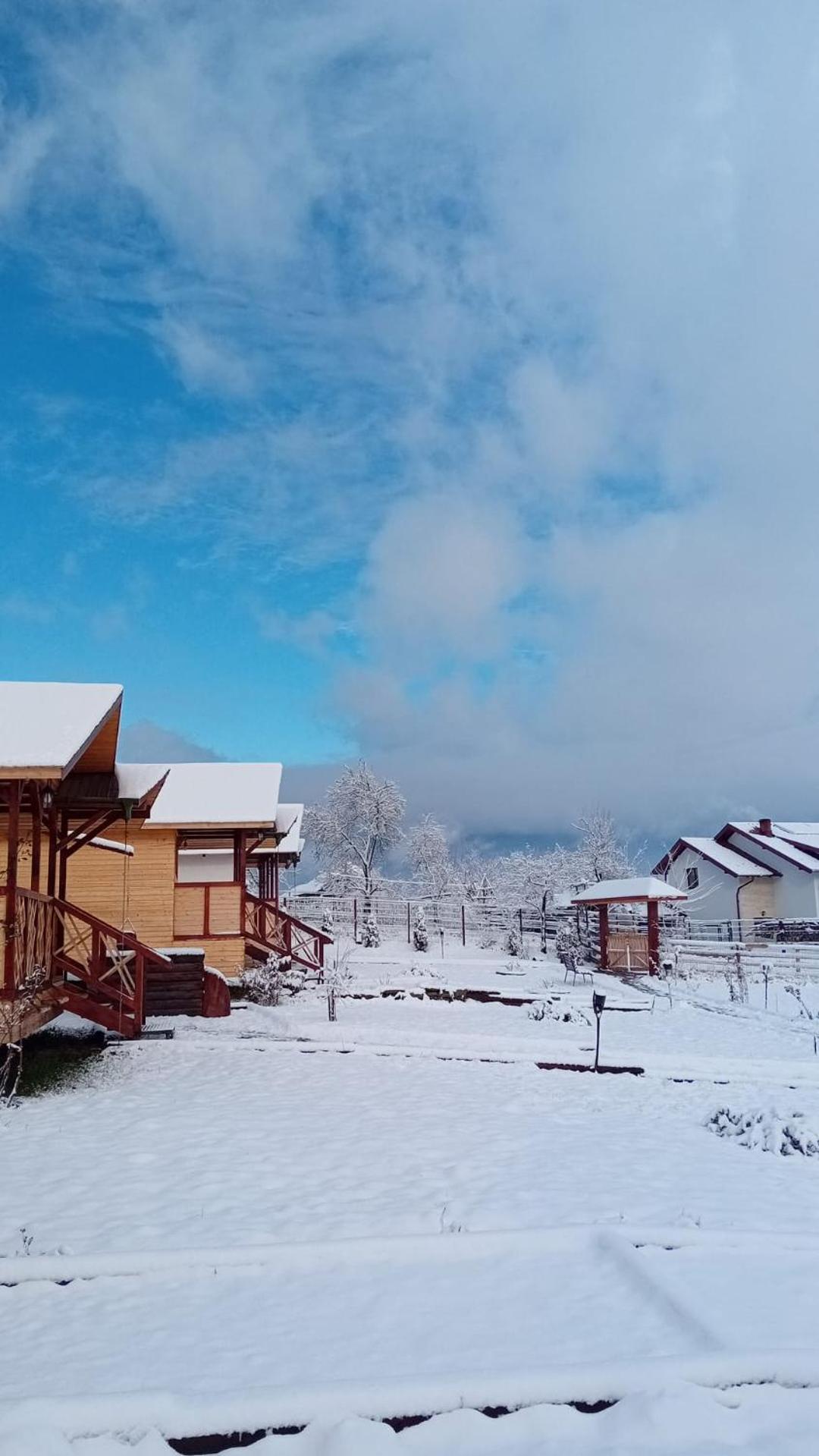 쿠티에데아게스 Baltina Parc Transfagarasan 빌라 외부 사진