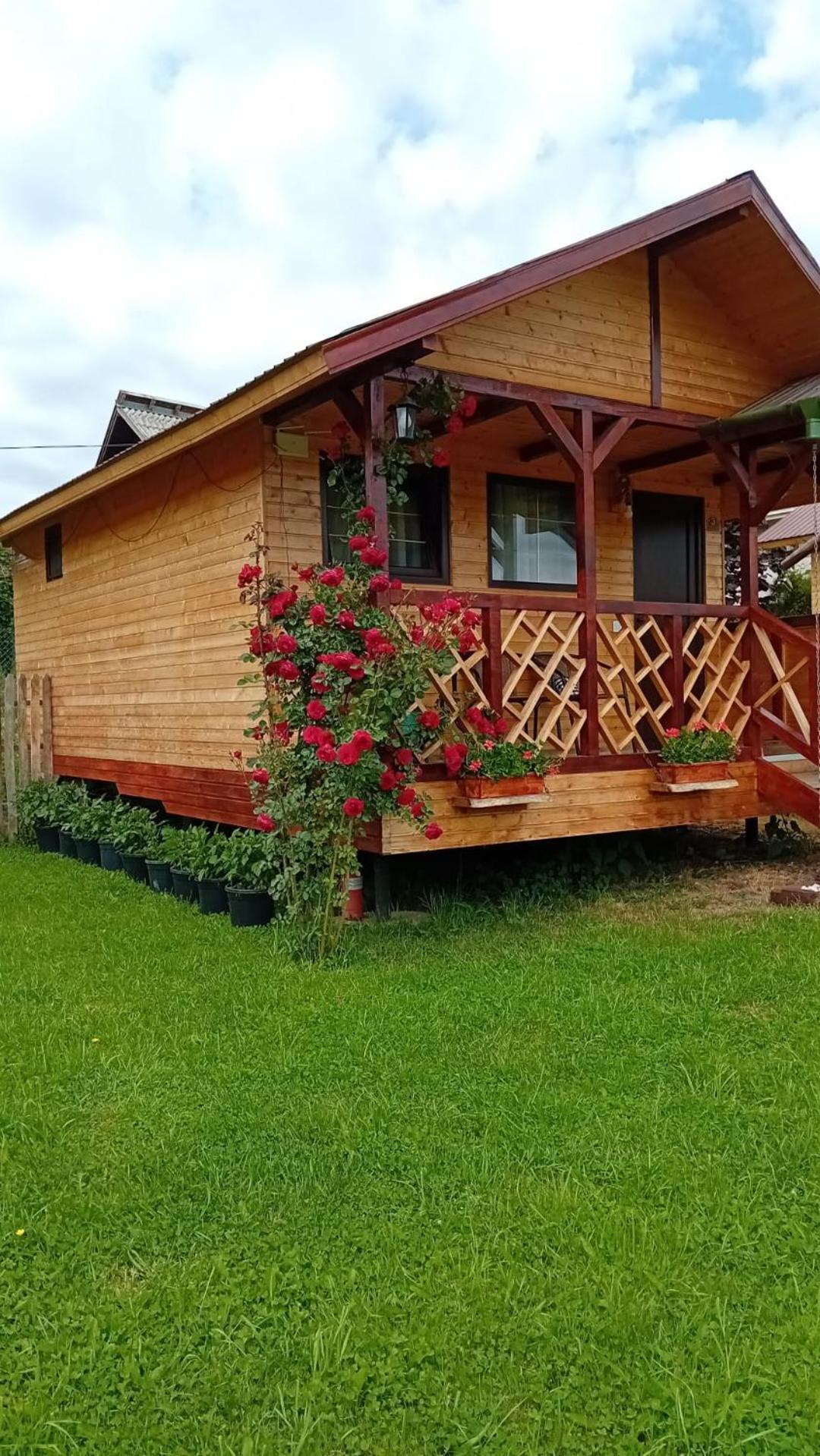 쿠티에데아게스 Baltina Parc Transfagarasan 빌라 외부 사진