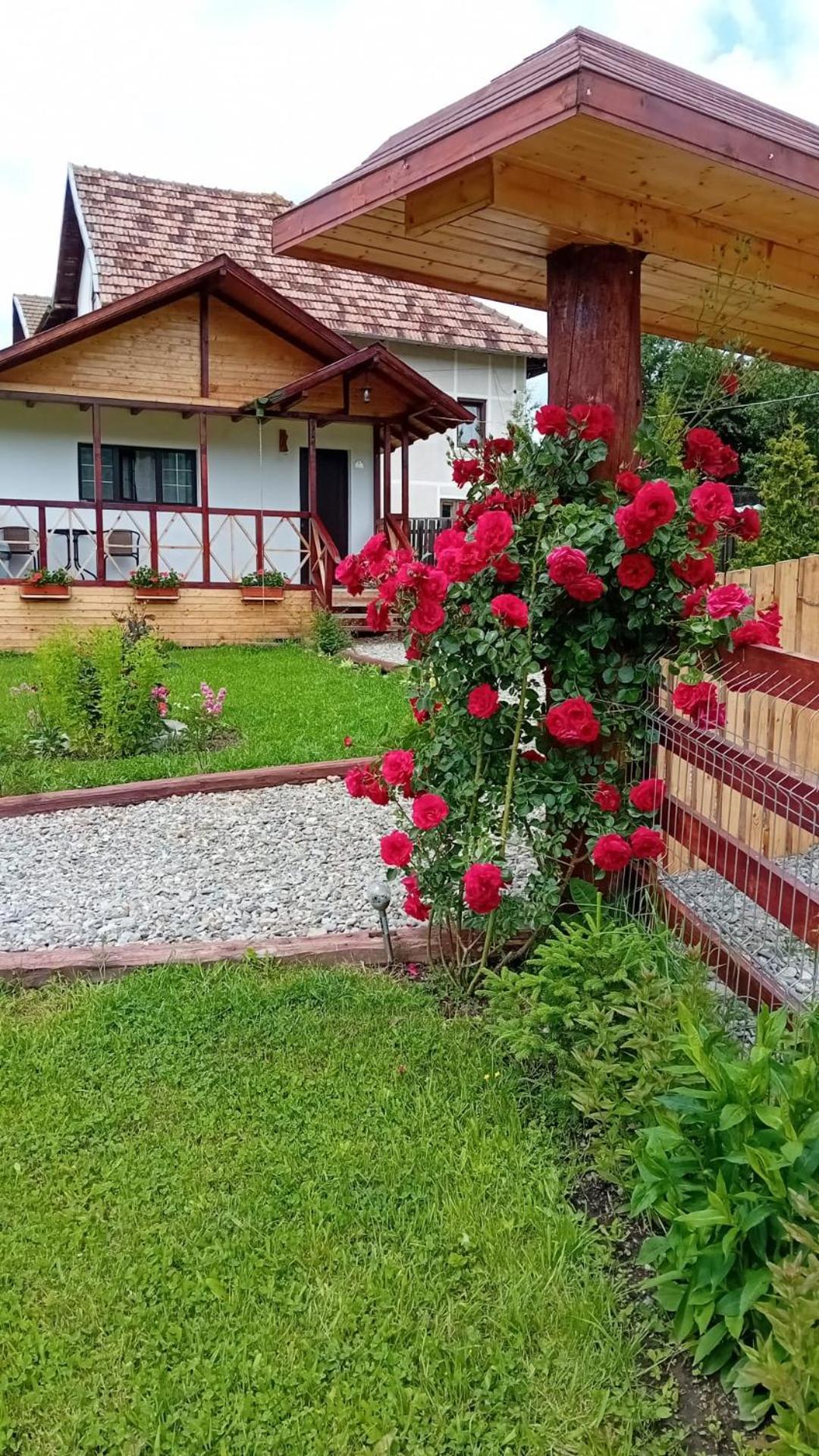 쿠티에데아게스 Baltina Parc Transfagarasan 빌라 외부 사진