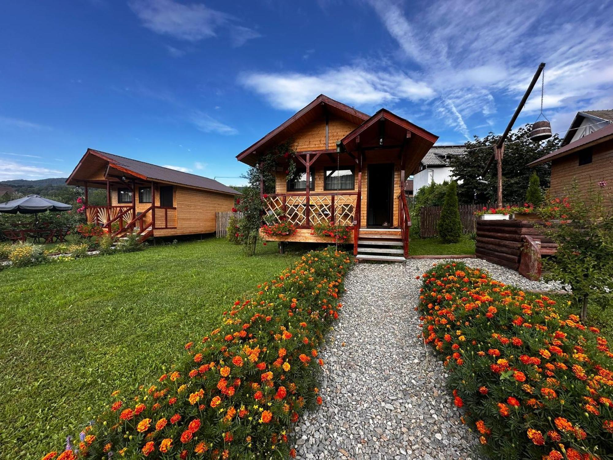 쿠티에데아게스 Baltina Parc Transfagarasan 빌라 외부 사진