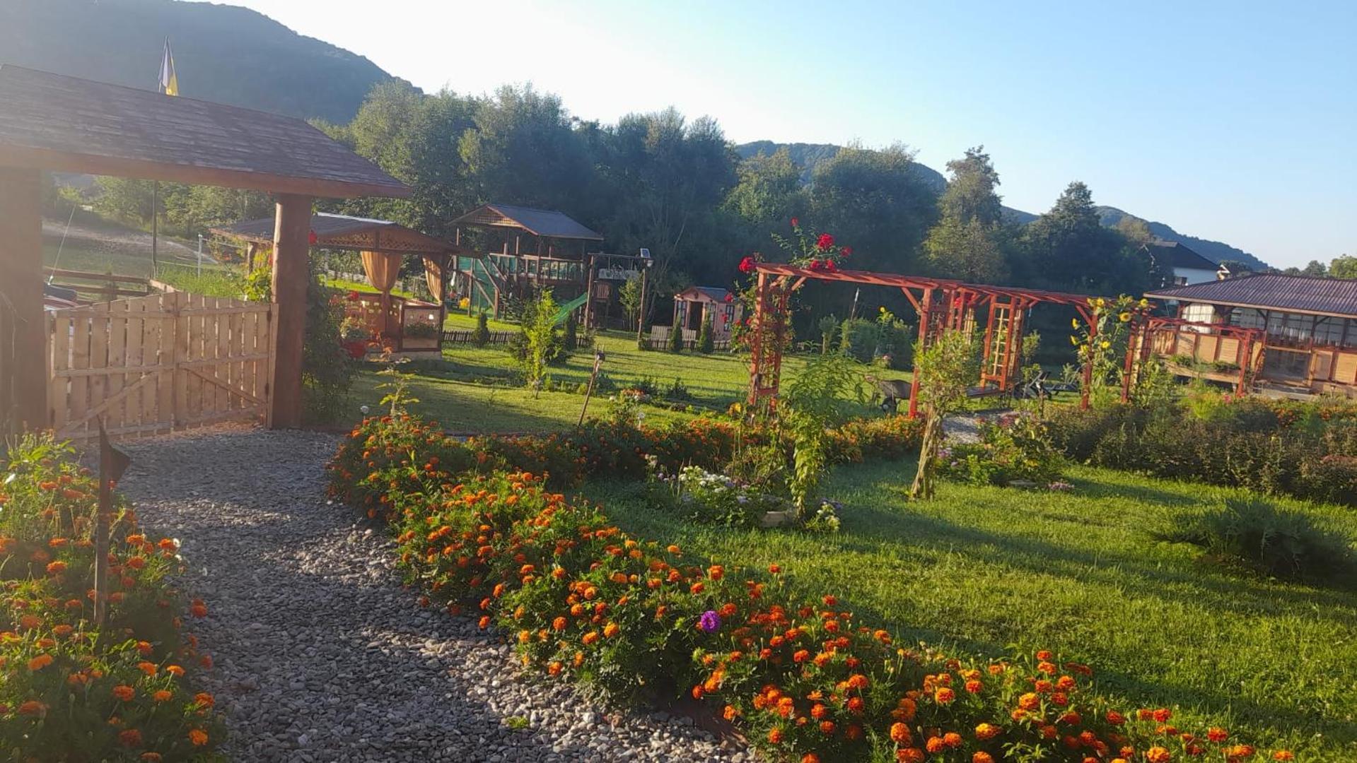 쿠티에데아게스 Baltina Parc Transfagarasan 빌라 외부 사진