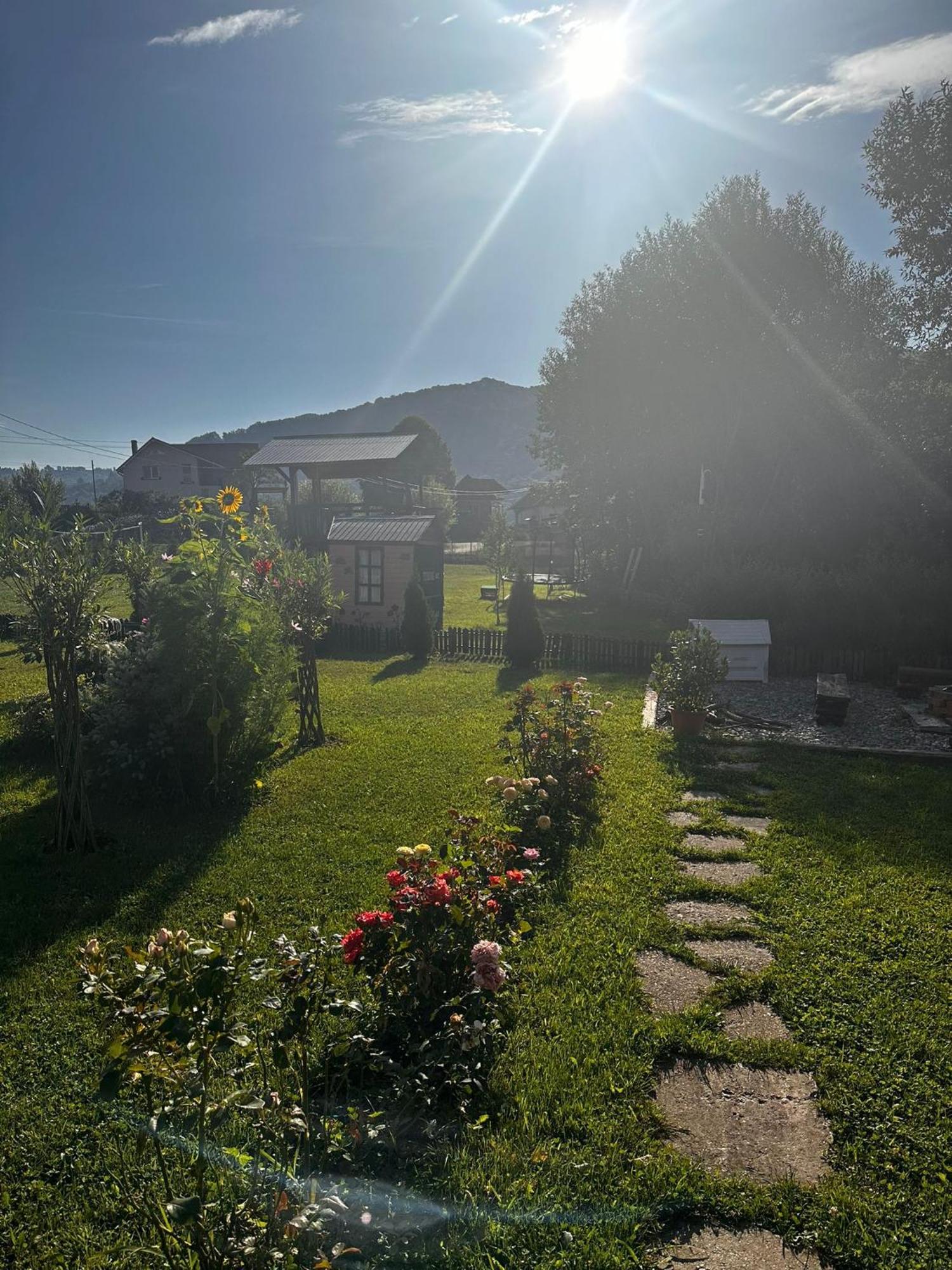 쿠티에데아게스 Baltina Parc Transfagarasan 빌라 외부 사진